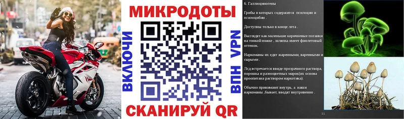 Псилоцибиновые грибы Psilocybine cubensis Купить где Луховицы